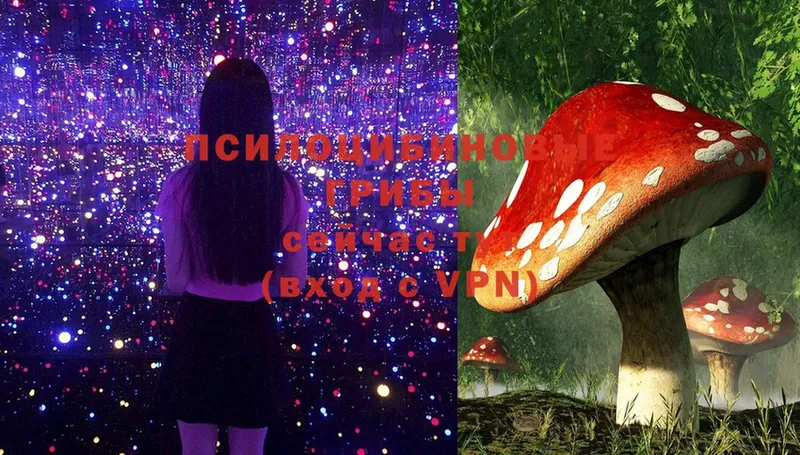 Псилоцибиновые грибы Magic Shrooms  мега зеркало  Ветлуга 